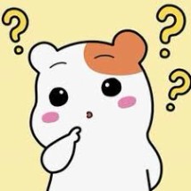 에비츄 궁금 > 짤투데이