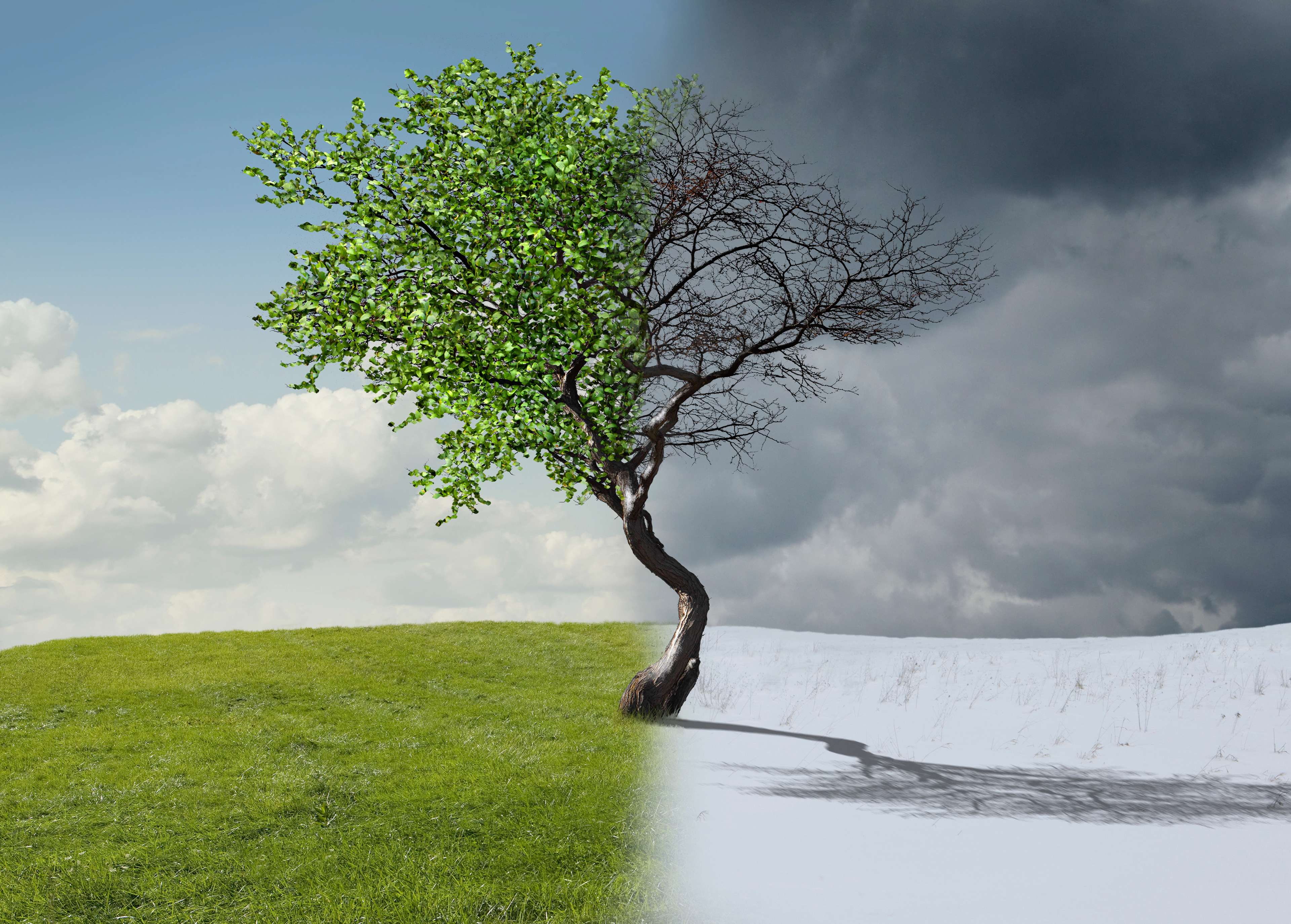 thumb-아무 일도 없는 줄 알았던 그 겨울, 이미 인생이 갈라지고 있었다