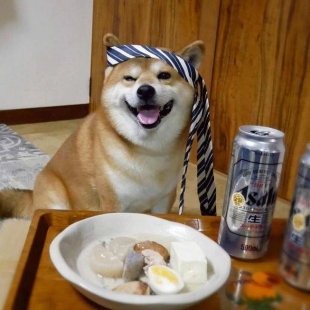 술취하면 개된다더니.. > 유머게시판 | 딜바다닷컴