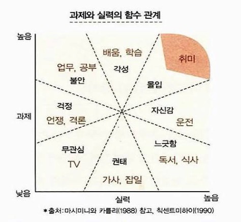 칙센트미하이의 몰입 이론 : 네이버 블로그