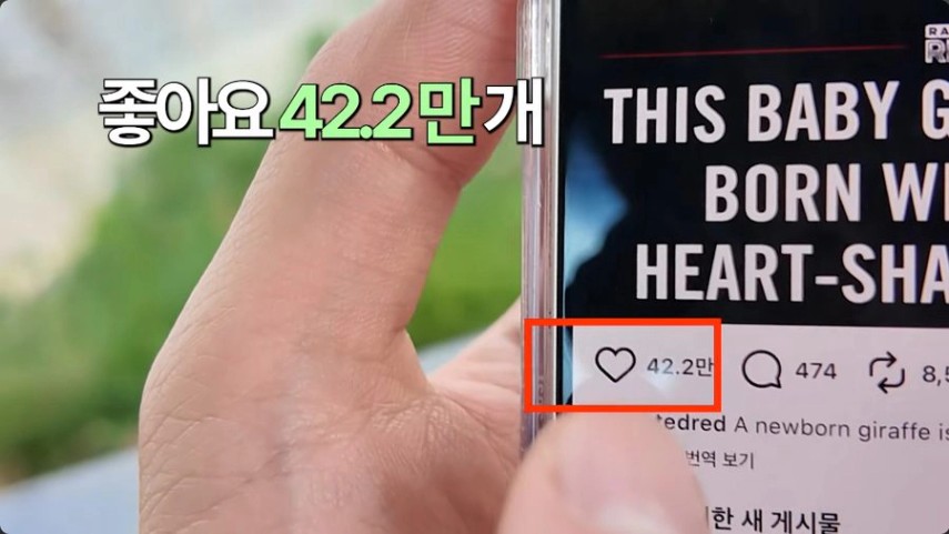 사진 한 장짜리 인스타그램 게시물에 좋아요 42.2만 개가 달린 화면