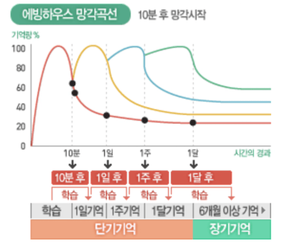 에빙하우스 망각곡선