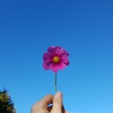 user-avatar