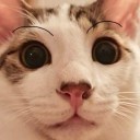 user-avatar